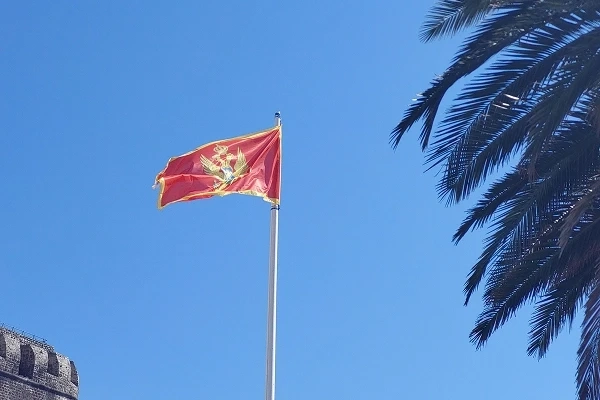 Opłaty drogowe w Czarnogórze 2026. Poradnik dla przewoźnika