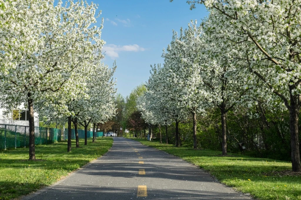 Zakazy jazdy dla ciężarówek – Majówka 2026 w Polsce i Europie [Przewodnik]